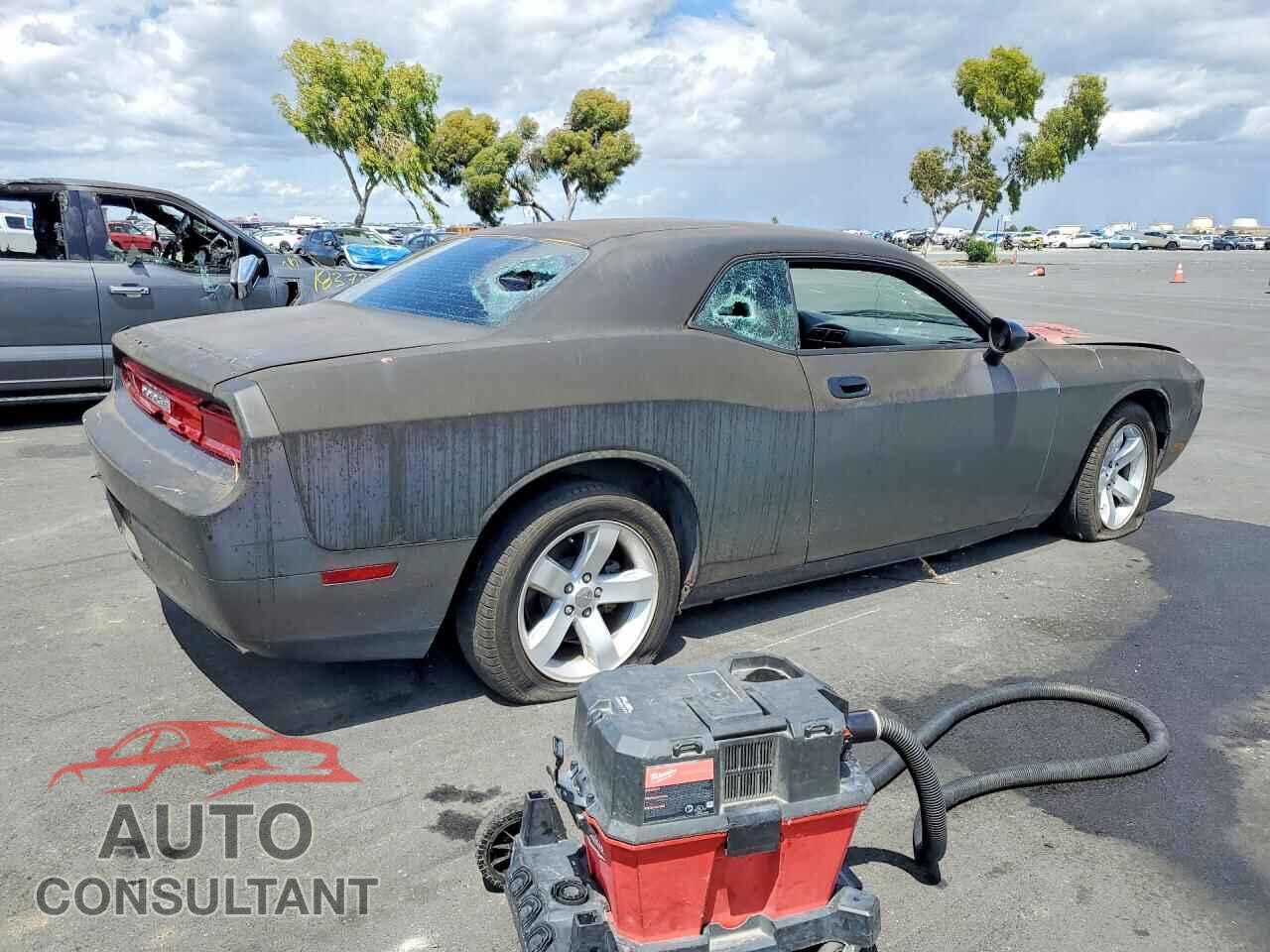 DODGE CHALLENGER 2010 - 2B3CJ5DT8AH300606