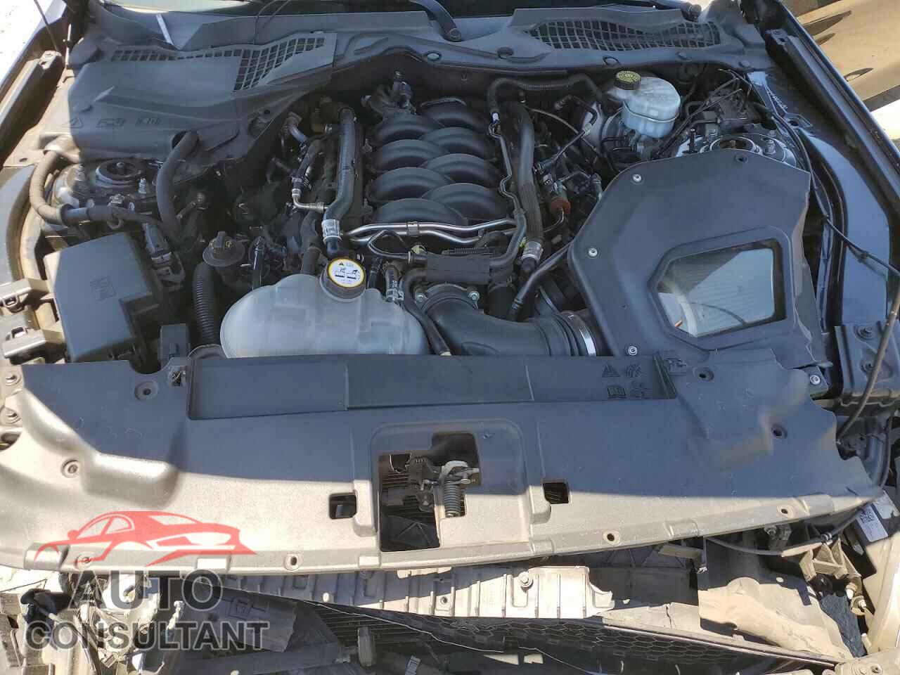 FORD MUSTANG 2019 - 1FA6P8CF7K5169108