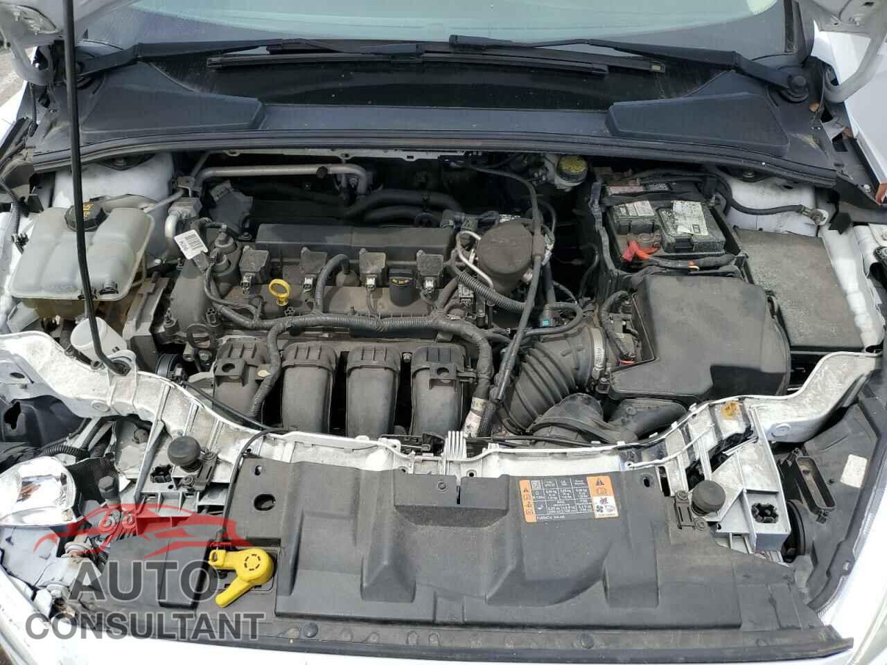 FORD FOCUS 2016 - 1FADP3F20GL290276