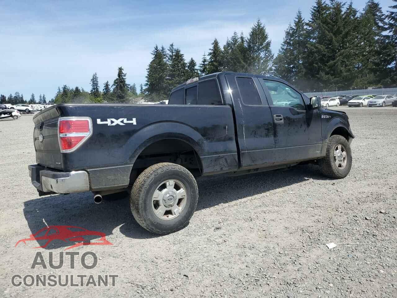 FORD F-150 2011 - 1FTFX1EF9BKE10134