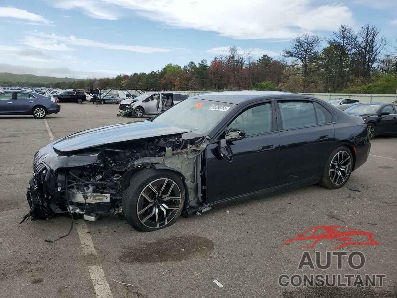 BMW 7 SERIES 2024 - WBA33EH09RCR24113