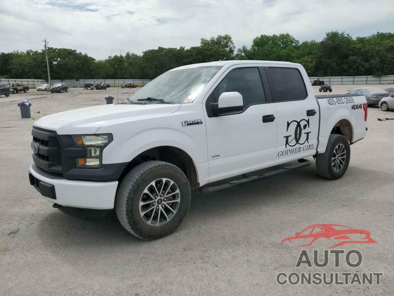 FORD F-150 2015 - 1FTEW1EG4FKE55107