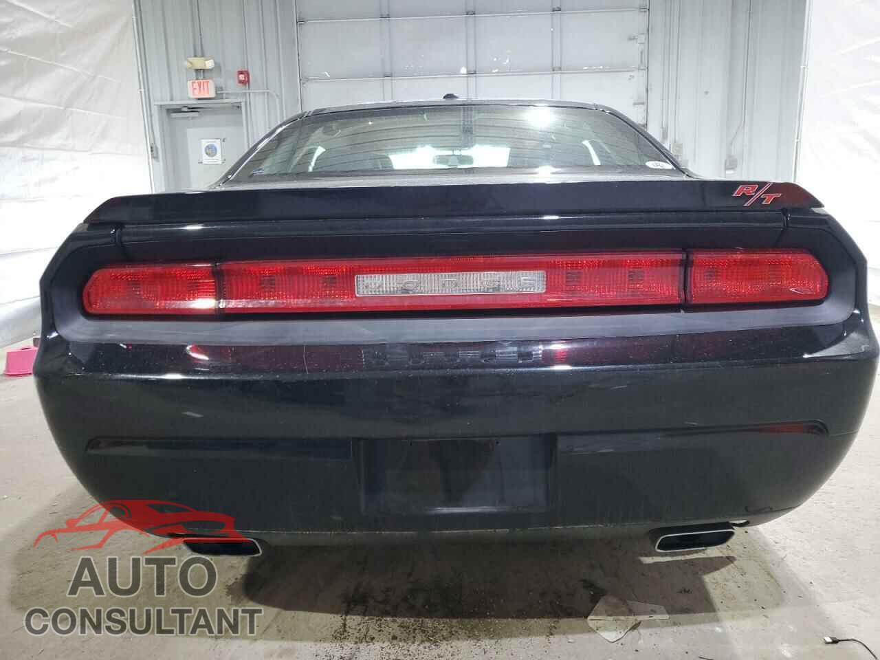 DODGE CHALLENGER 2013 - 2C3CDYBT2DH705363