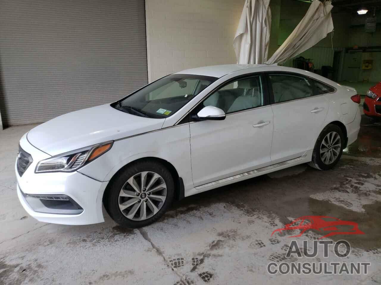 HYUNDAI SONATA 2017 - 5NPE34AF6HH449088