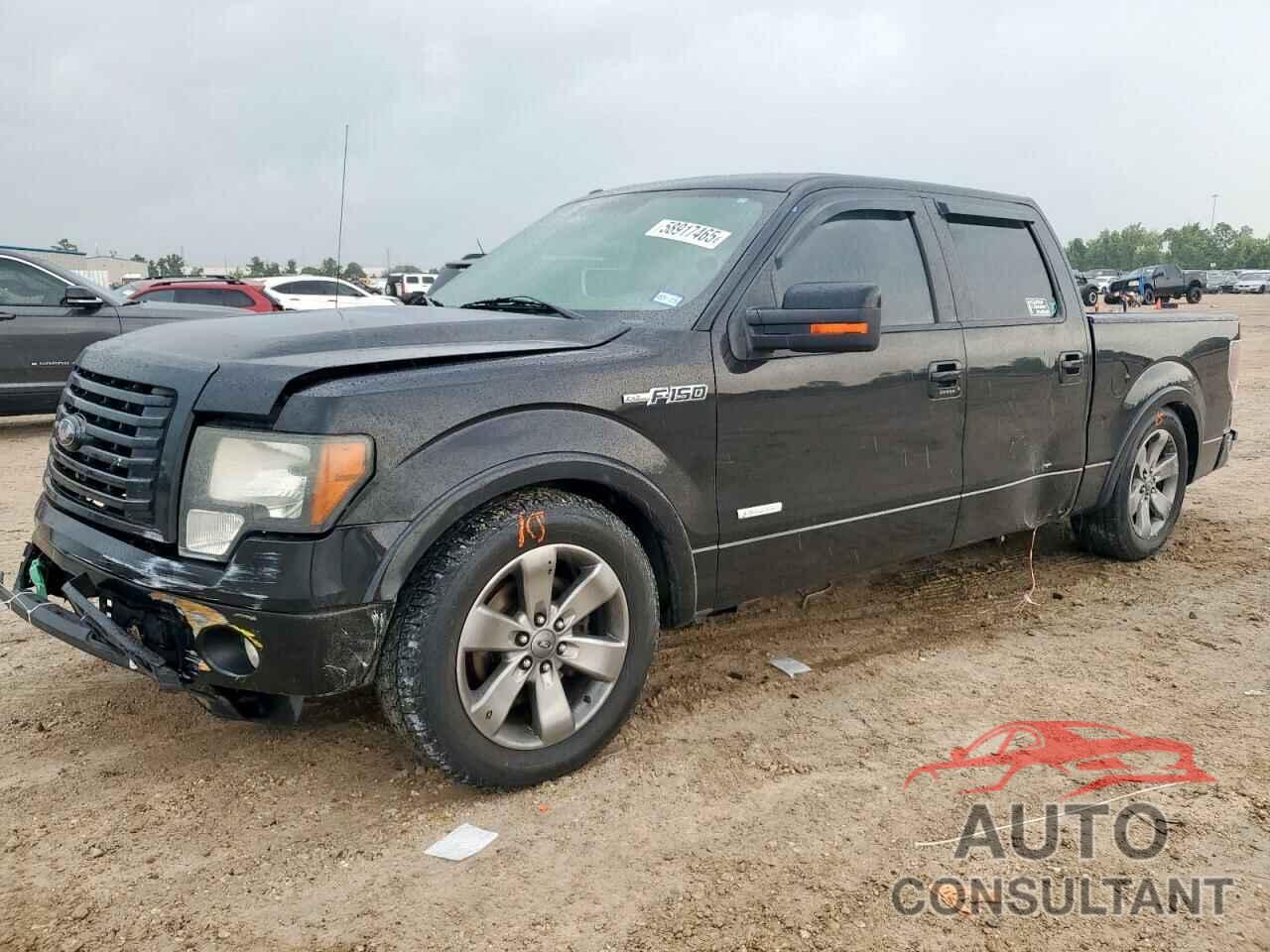 FORD F-150 2012 - 1FTFW1CT1CKE04535