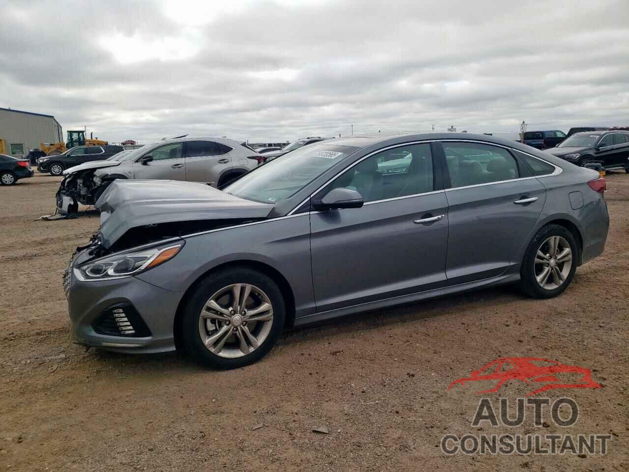 HYUNDAI SONATA 2019 - 5NPE34AF9KH769299