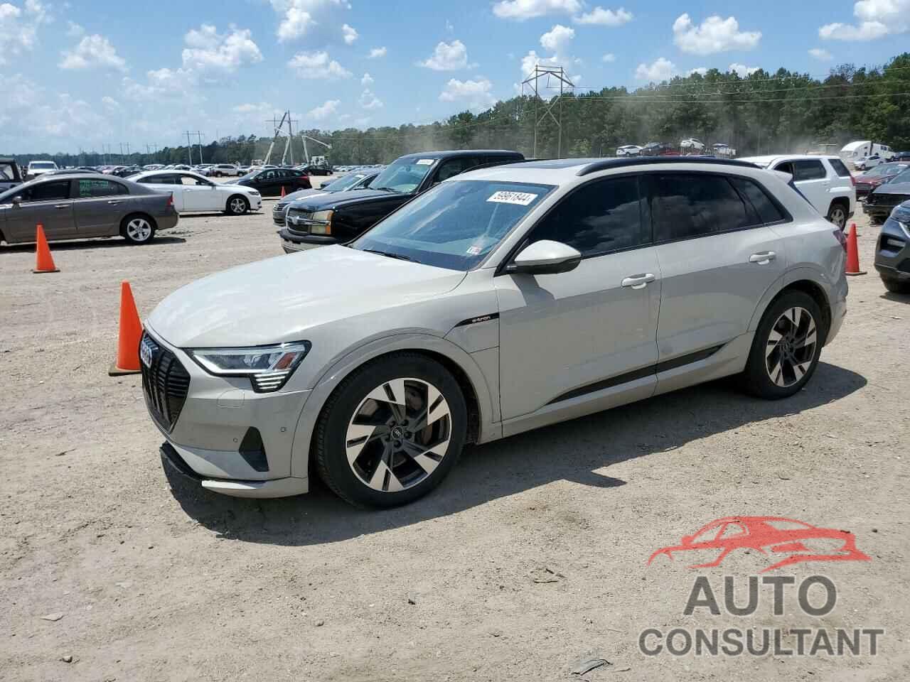 AUDI E-TRON 2022 - WA1AAAGE0NB012499