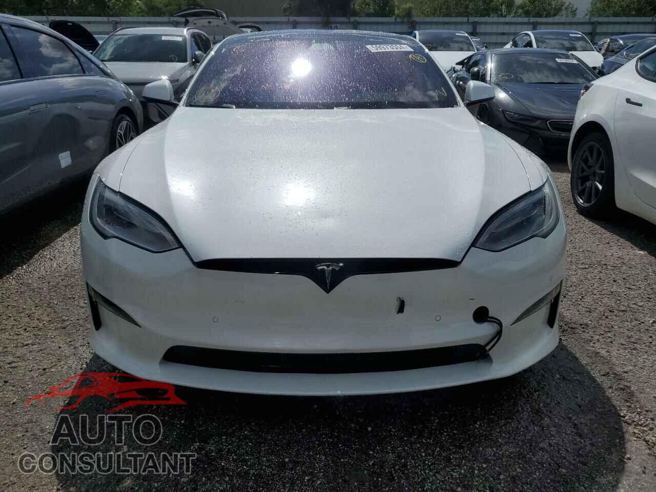 TESLA MODEL S 2021 - 5YJSA1E69MF442016