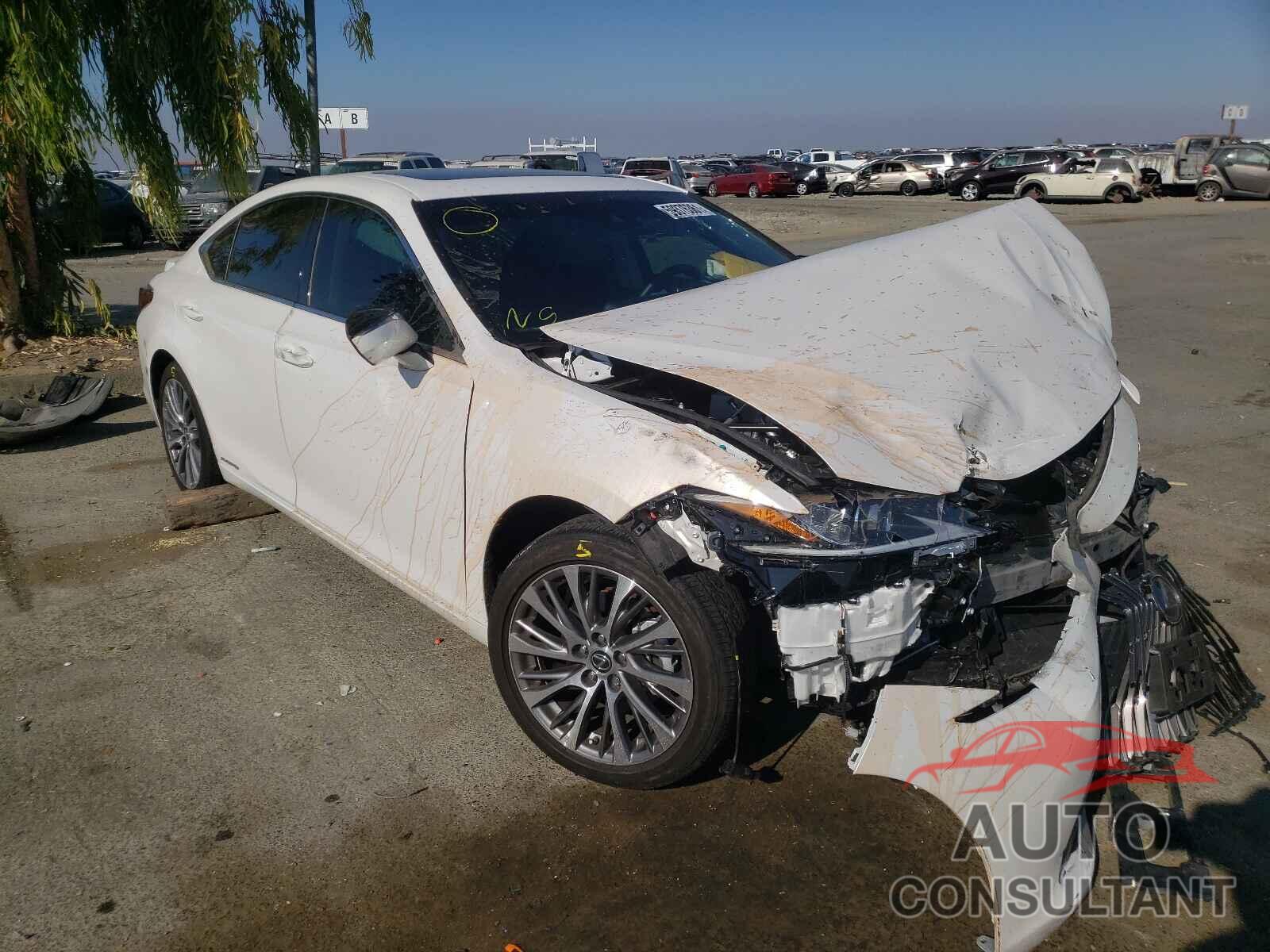 LEXUS ES300 2020 - 58AD21B15LU011312