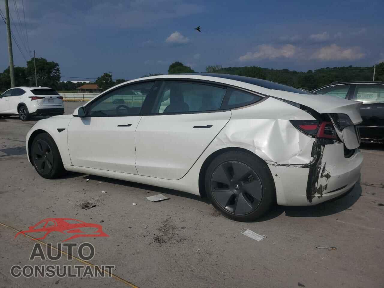 TESLA MODEL 3 2021 - 5YJ3E1EA2MF977475