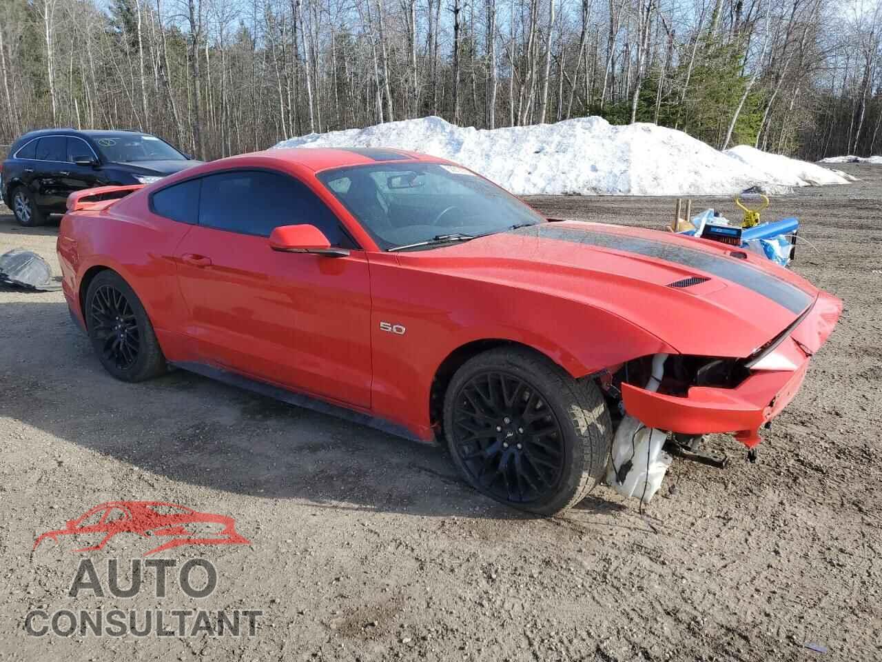 FORD MUSTANG 2019 - 1FA6P8CF4K5179837