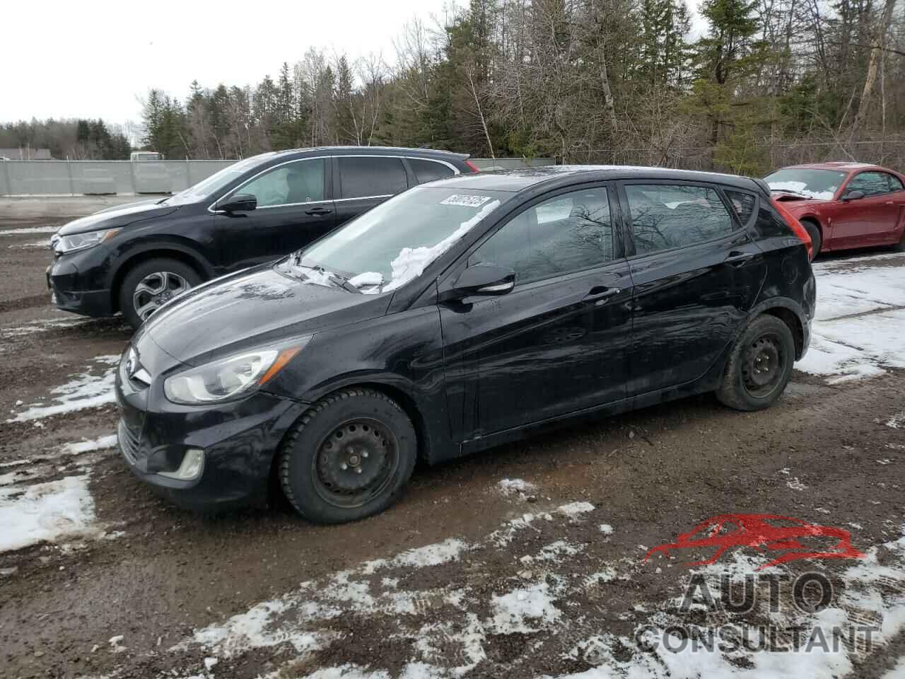 HYUNDAI ACCENT 2014 - KMHCU5AE8EU184754