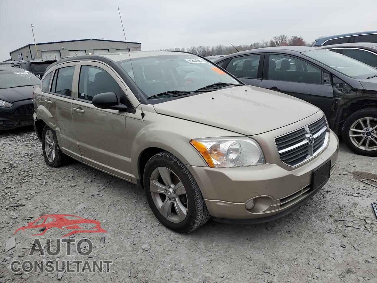 DODGE CALIBER 2010 - 1B3CB3HA9AD566398