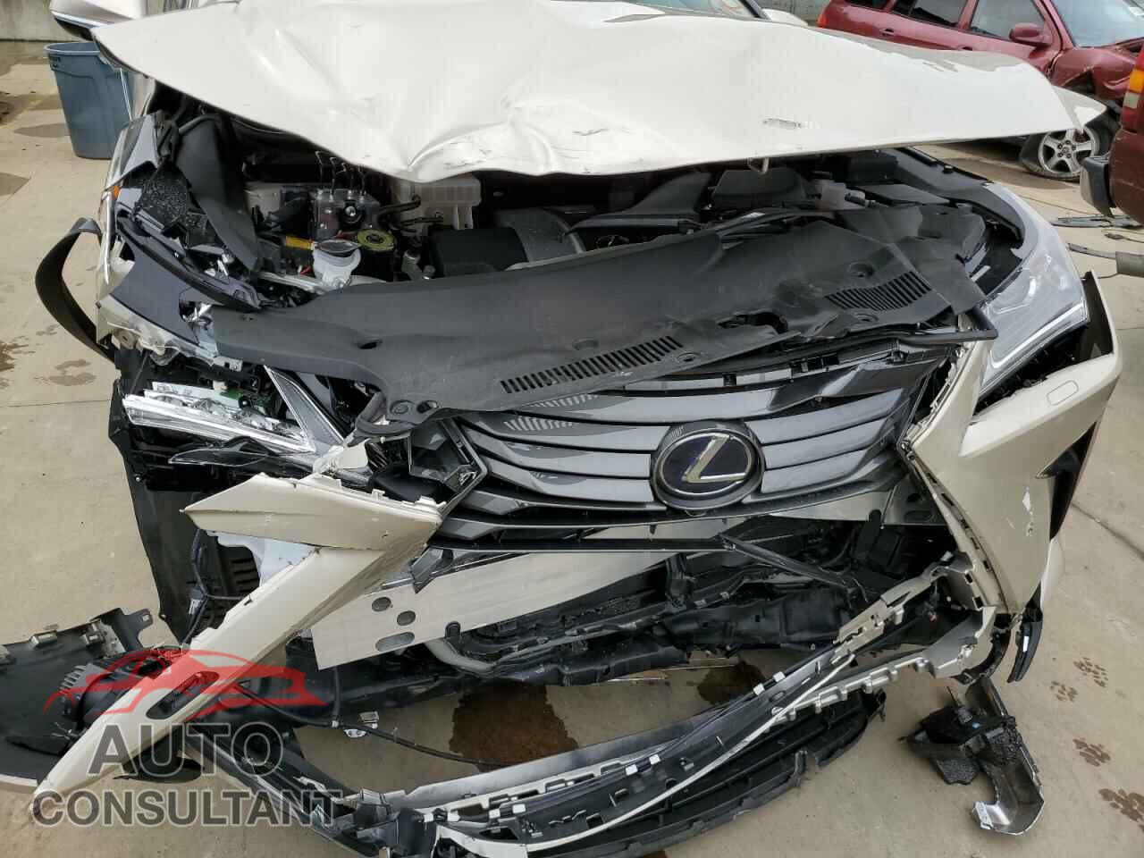 LEXUS RX450 2019 - 2T2BGMCA5KC038568