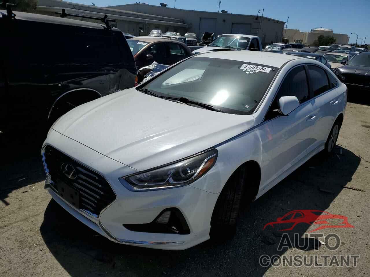 HYUNDAI SONATA 2019 - 5NPE24AF1KH767081