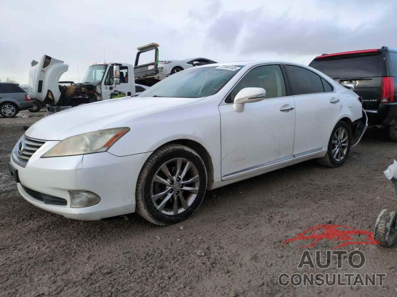 LEXUS ES350 2010 - JTHBK1EG2A2363676