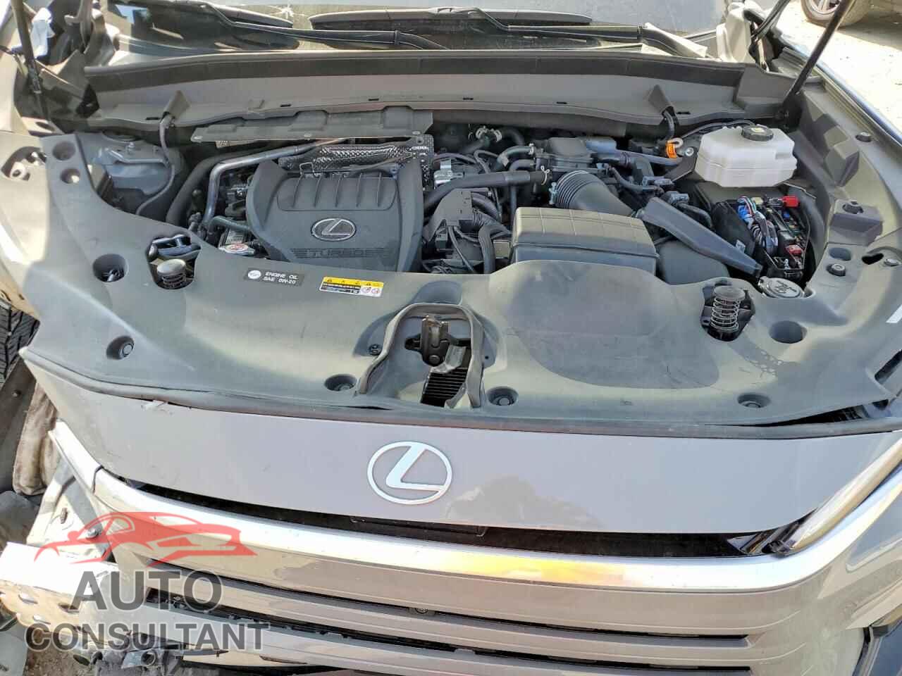 LEXUS UNKNOWN 2024 - 5TDABAB63RS005306