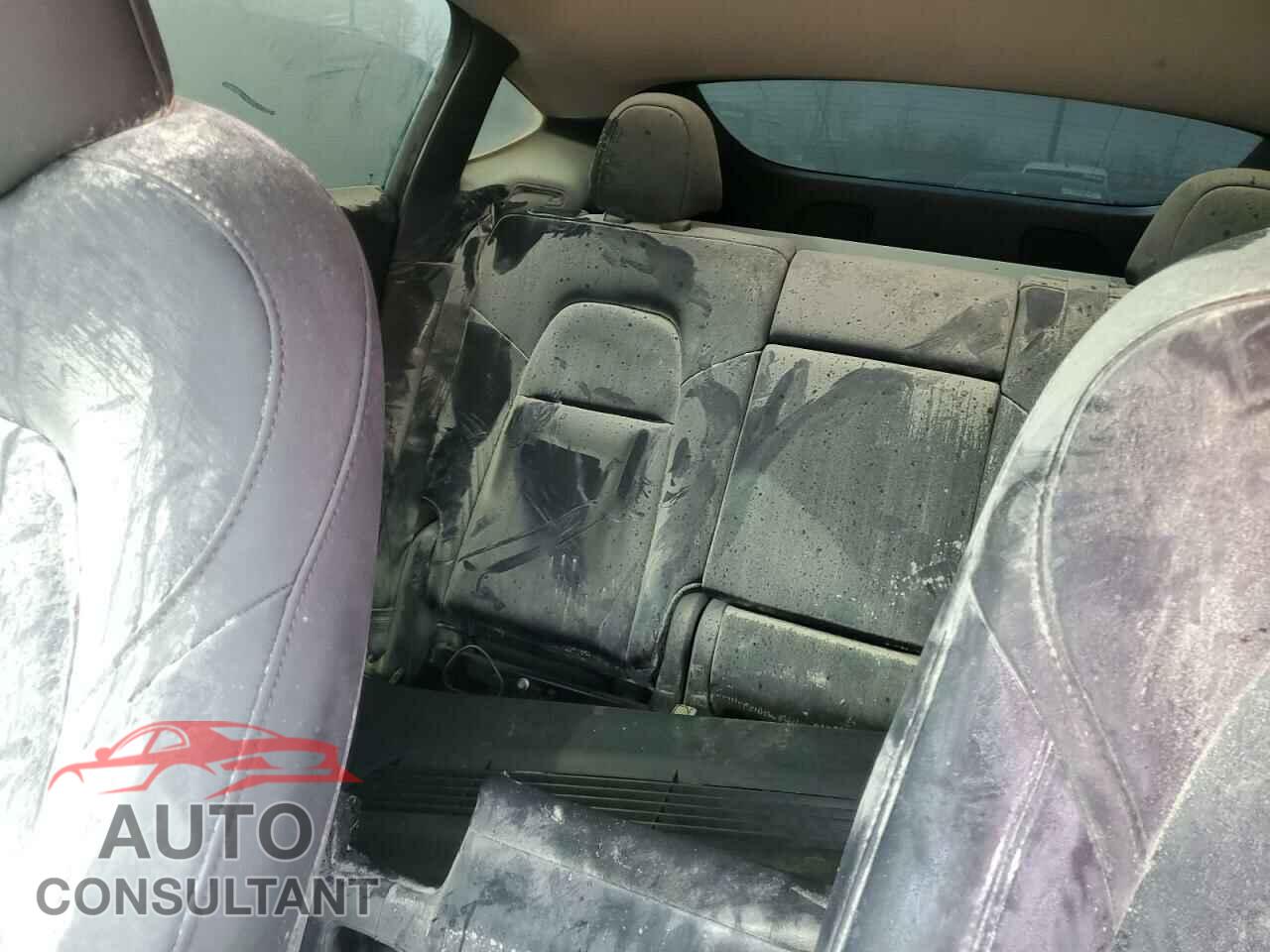 TESLA MODEL Y 2023 - LRWYGDFD6PC163418