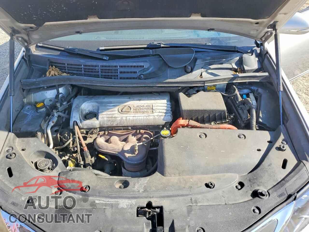 LEXUS HS 2010 - JTHBB1BA0A2018565