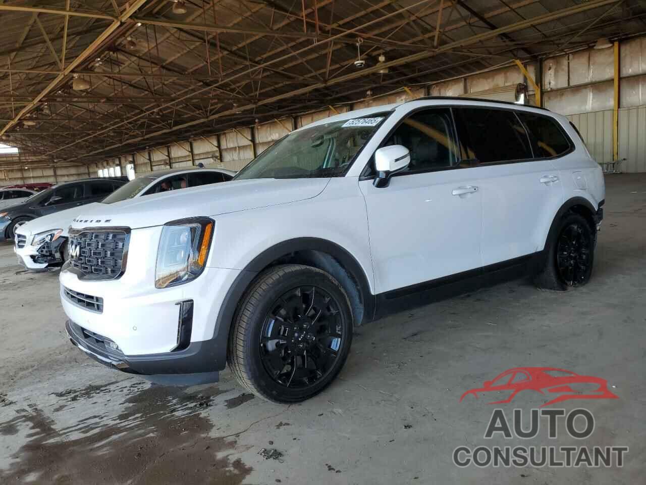 KIA TELLURIDE 2022 - 5XYP5DHC4NG289407