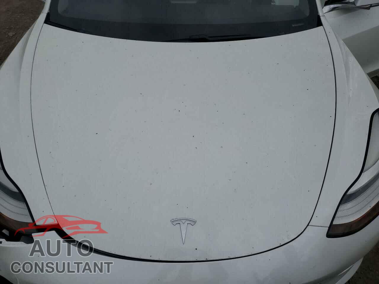 TESLA MODEL 3 2020 - 5YJ3E1EA2LF806434