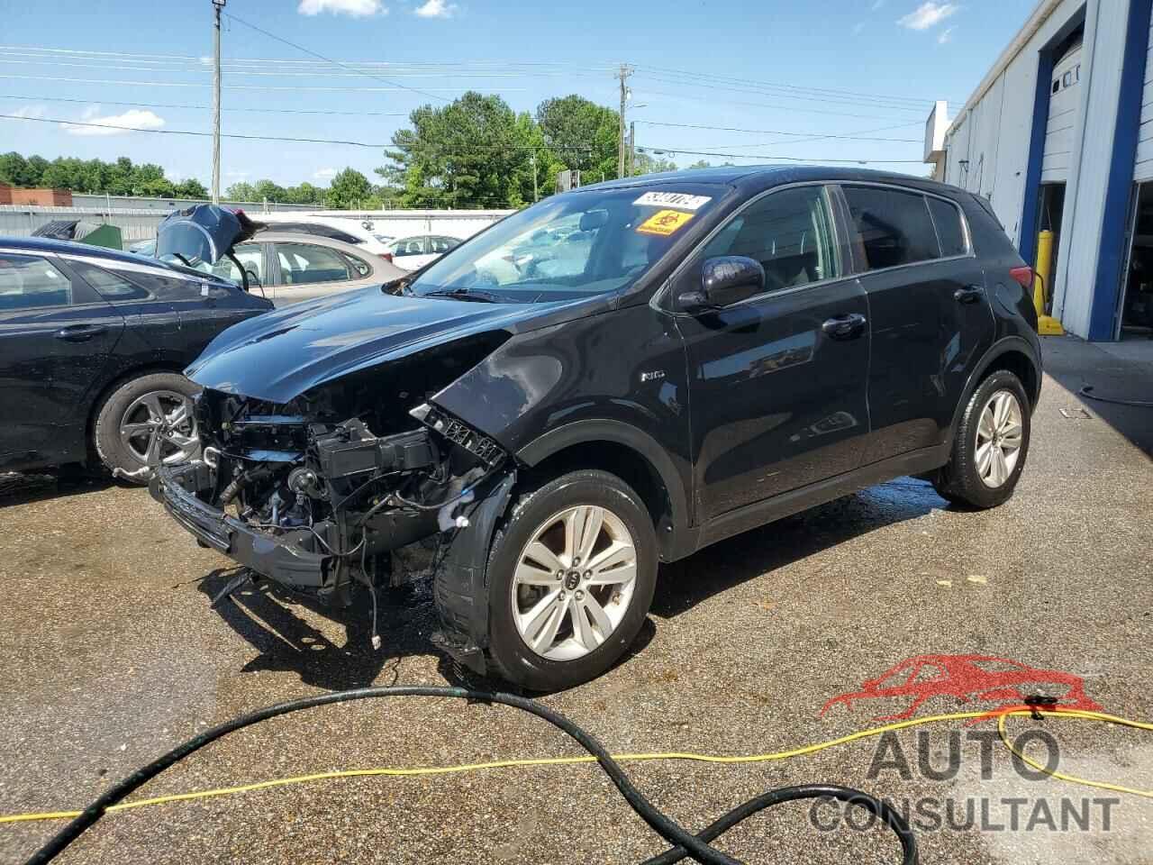 KIA SPORTAGE 2017 - KNDPMCAC7H7119972