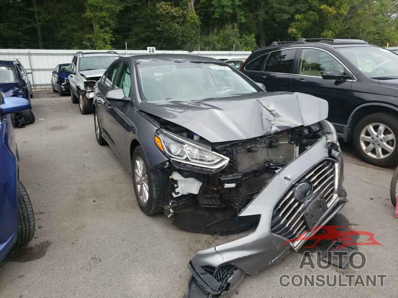 HYUNDAI SONATA 2018 - 5NPE24AF8JH613479