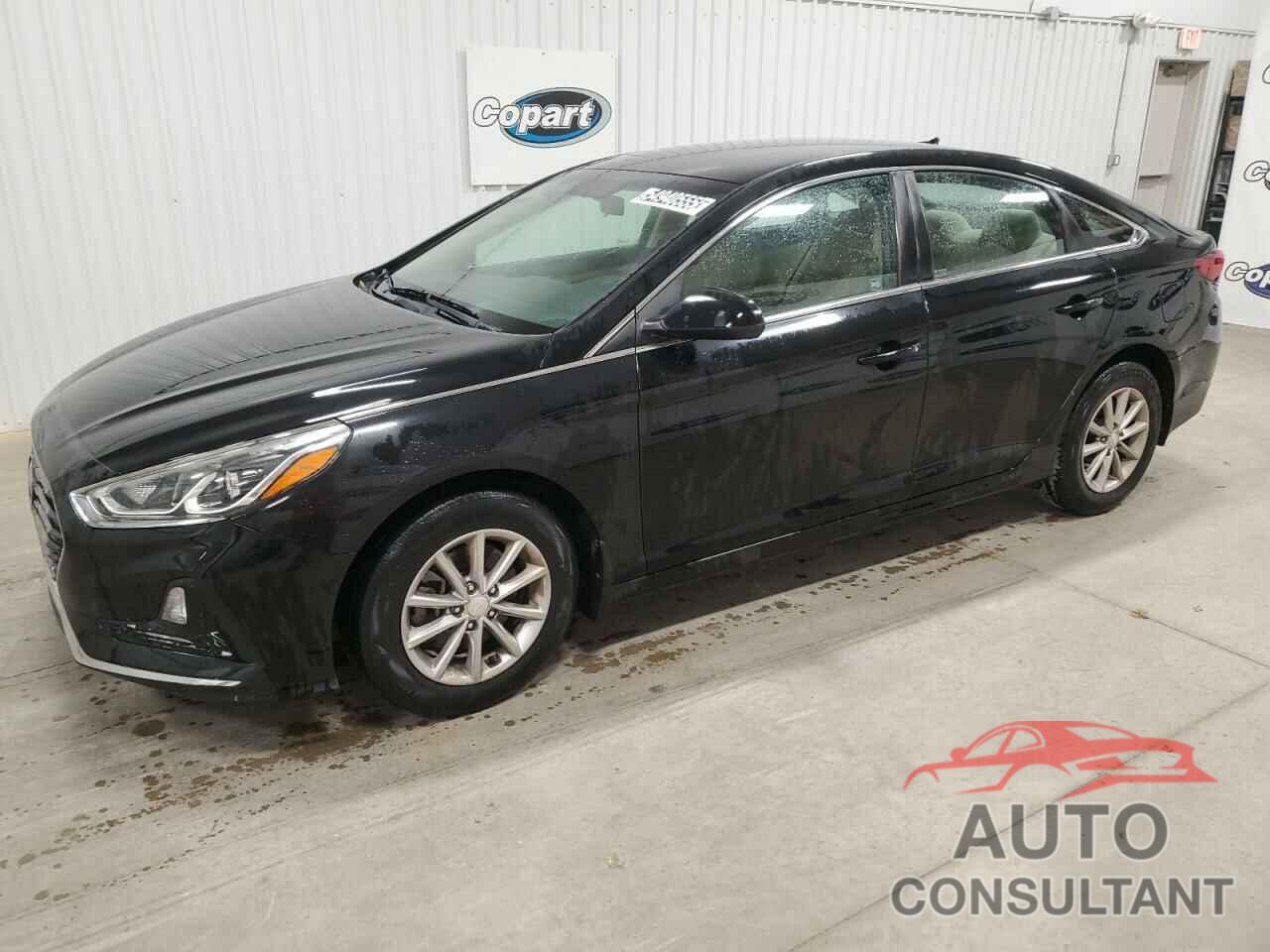 HYUNDAI SONATA 2019 - 5NPE24AF5KH730843