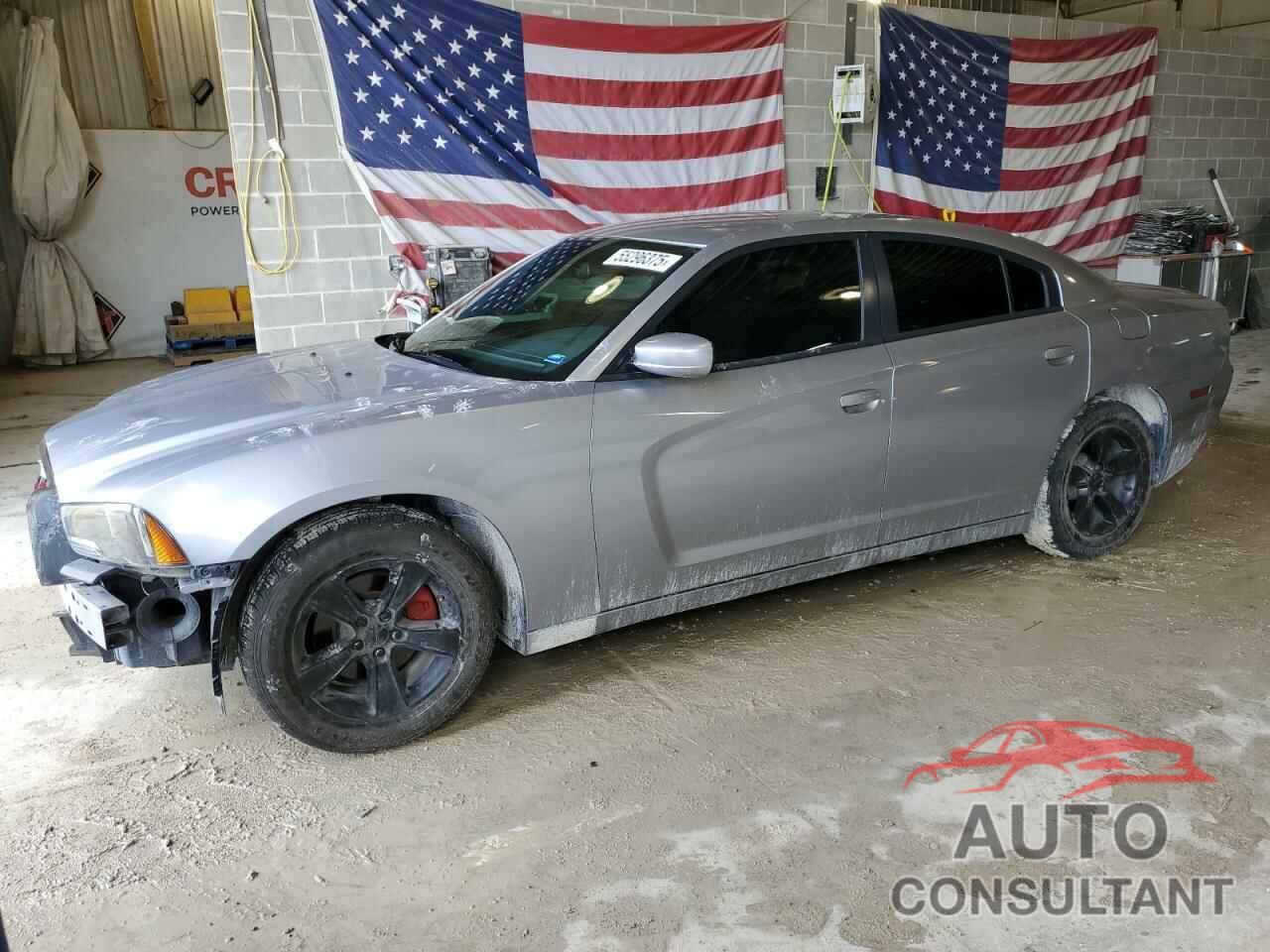 DODGE CHARGER 2014 - 2C3CDXBG6EH193346
