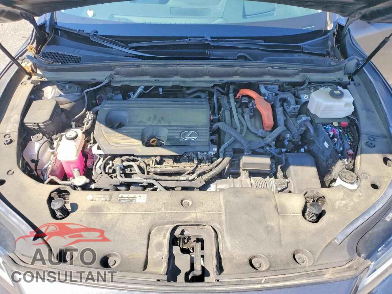 LEXUS UNKNOWN 2024 - 2T2BBMCAXRC032032