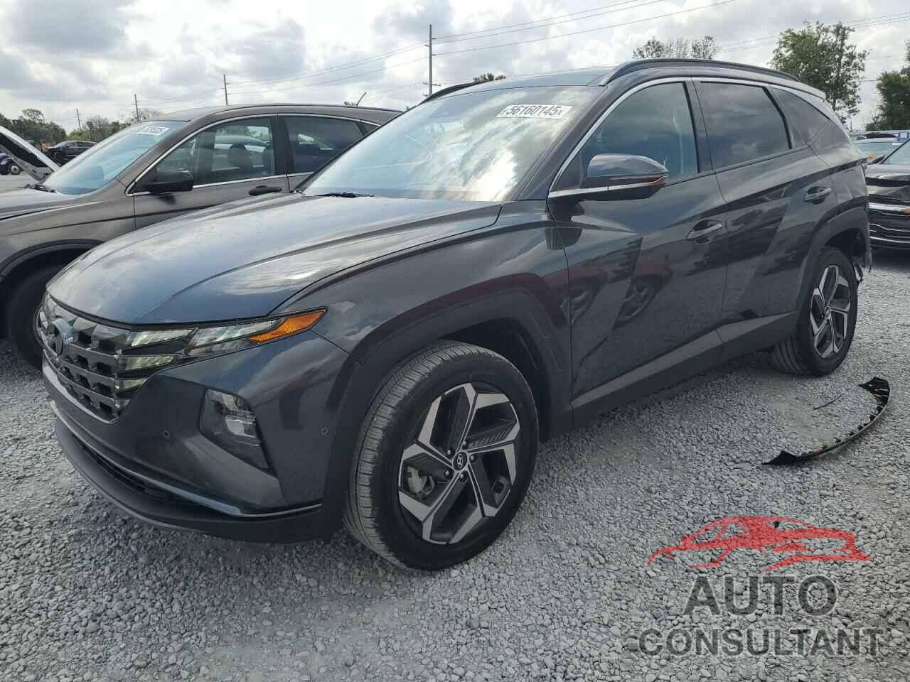 HYUNDAI TUCSON 2023 - 5NMJECAE2PH228626