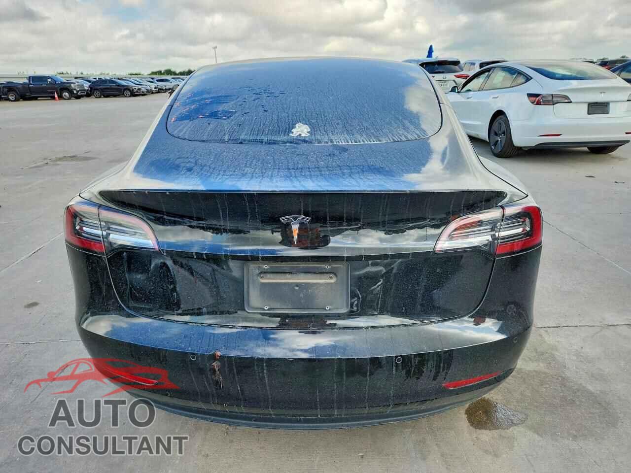 TESLA MODEL 3 2018 - 5YJ3E1EA5JF172887