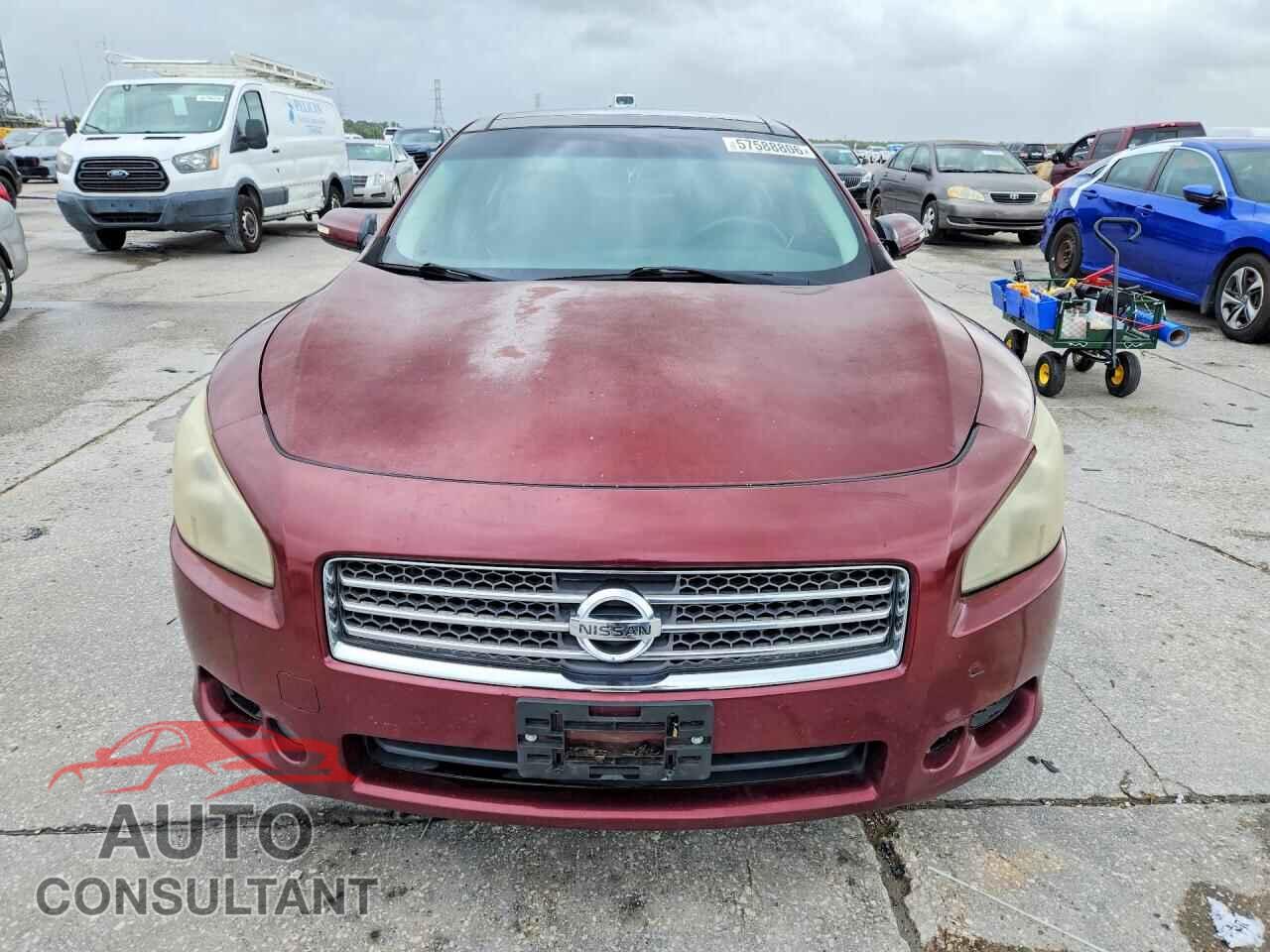 NISSAN MAXIMA 2011 - 1N4AA5AP5BC841037