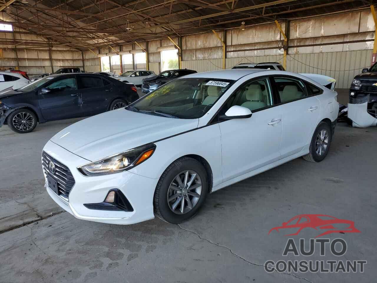 HYUNDAI SONATA 2018 - 5NPE24AF1JH643861