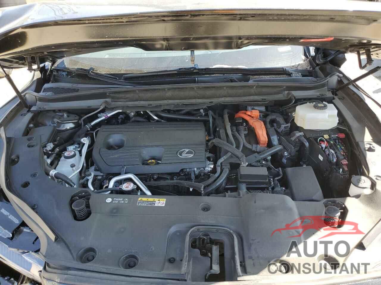 LEXUS RX 450H+ L 2024 - JTJCJMGA2R2021916