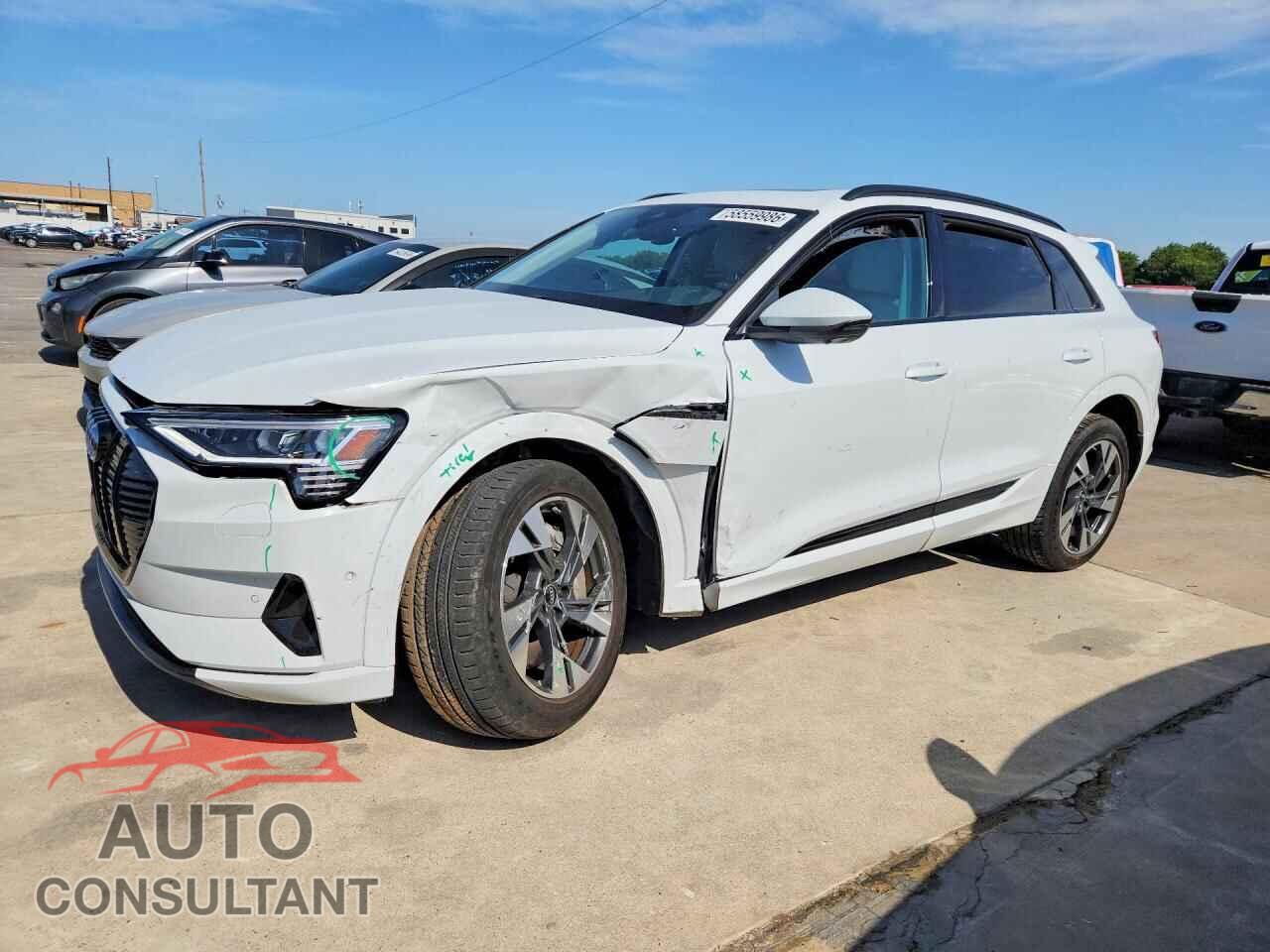 AUDI E-TRON 2022 - WA1AAAGE2NB014321