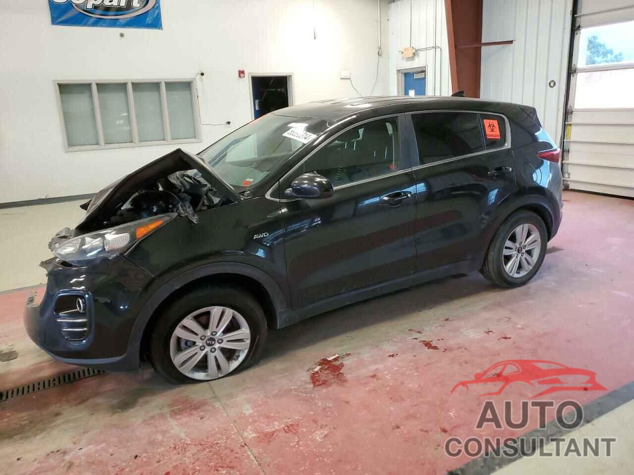 KIA SPORTAGE 2018 - KNDPMCAC1J7339016