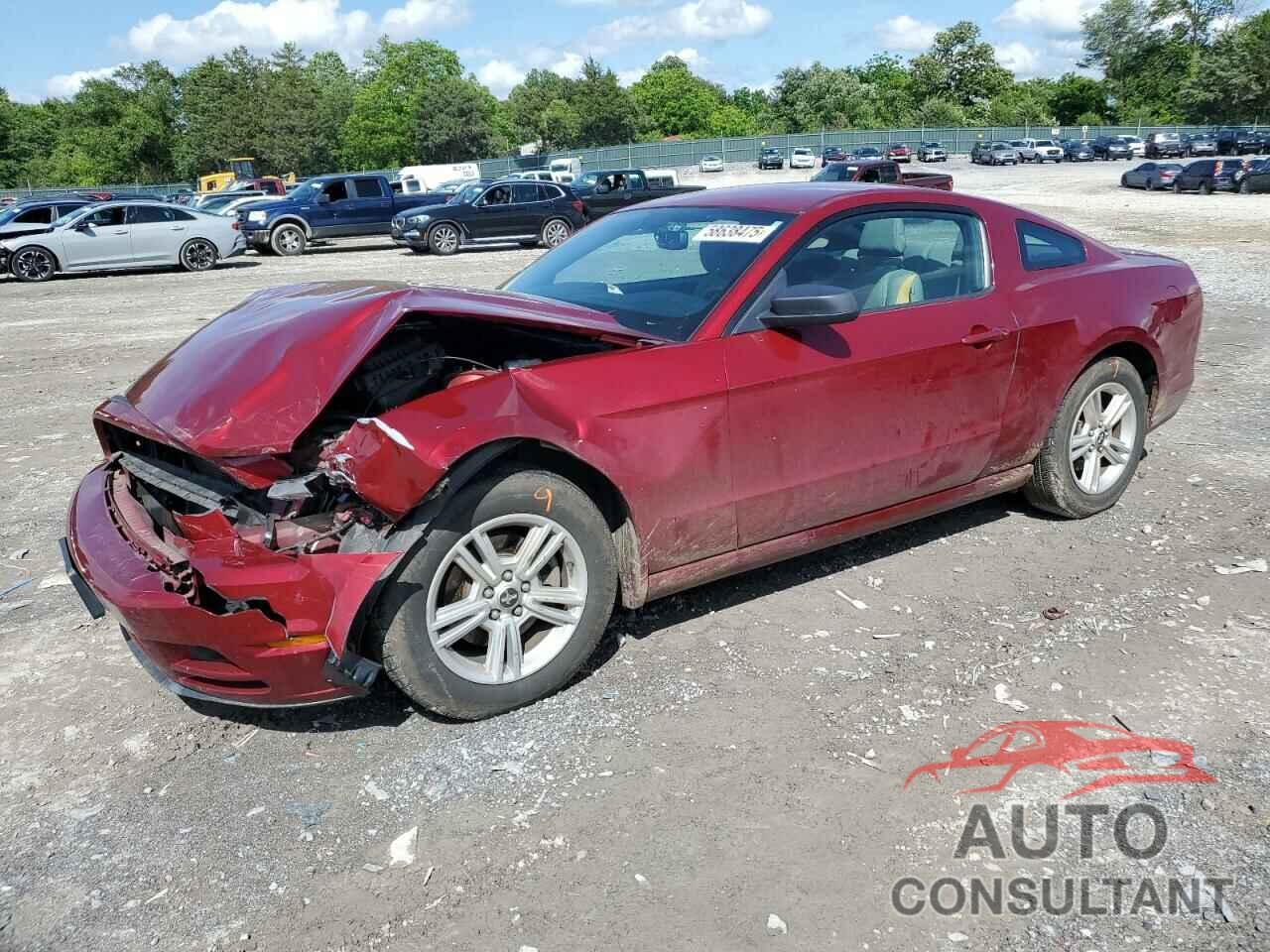 FORD ALL Models 2014 - 1ZVBP8AM6E5314120