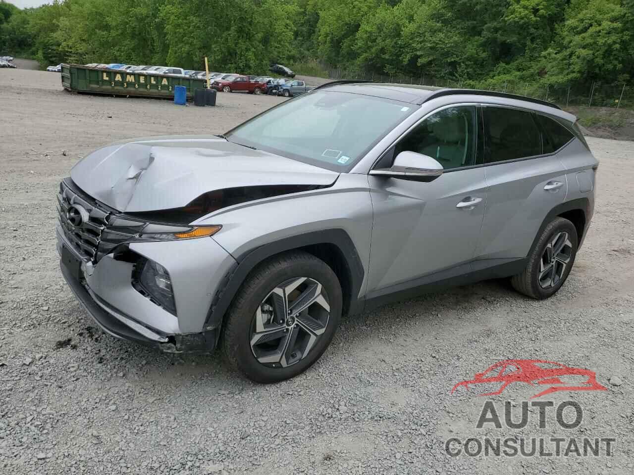 HYUNDAI TUCSON 2024 - KM8JECD11RU230643