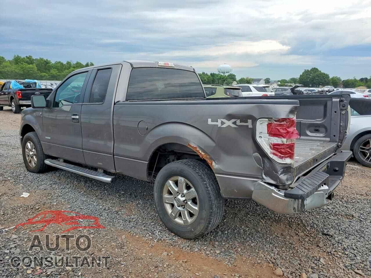 FORD F150 2013 - 1FTFX1ET7DFB72141