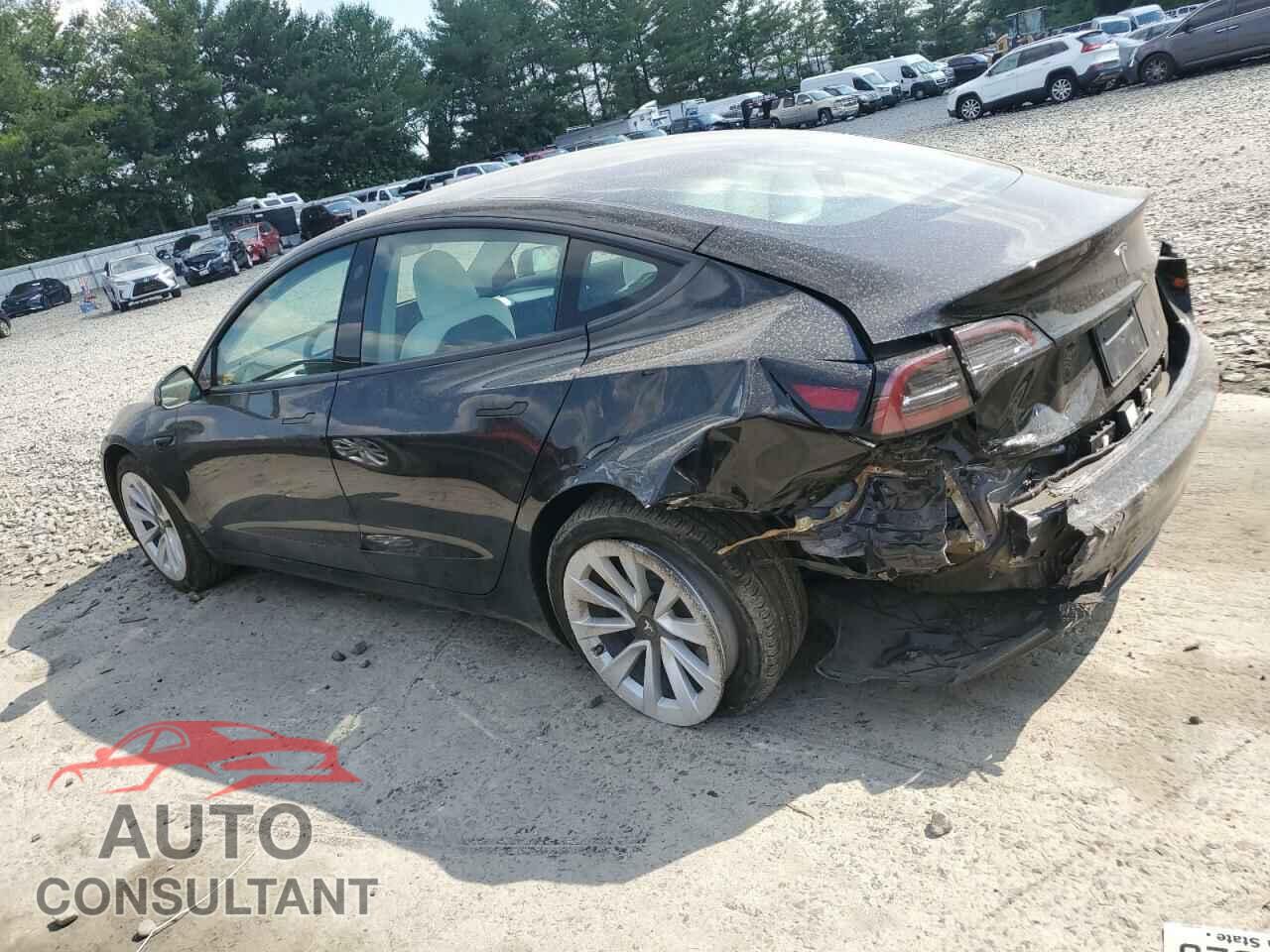 TESLA MODEL 3 2023 - 5YJ3E1EAXPF549903