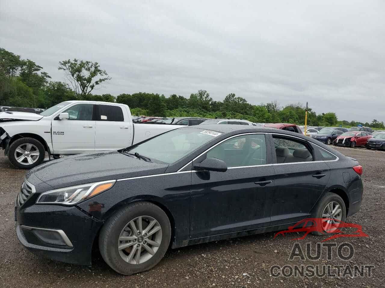 HYUNDAI SONATA 2017 - 5NPE24AF5HH575817