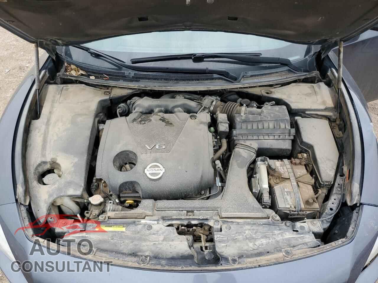 NISSAN MAXIMA 2009 - 1N4AA51E49C831740