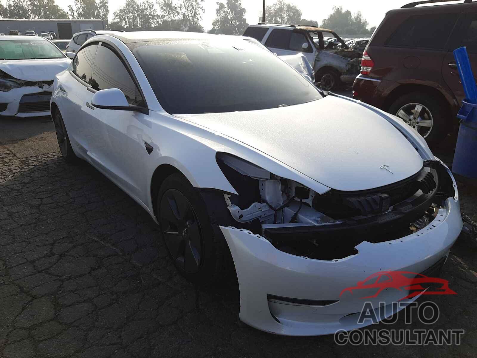 TESLA MODEL 3 2021 - 5YJ3E1EB2MF927183
