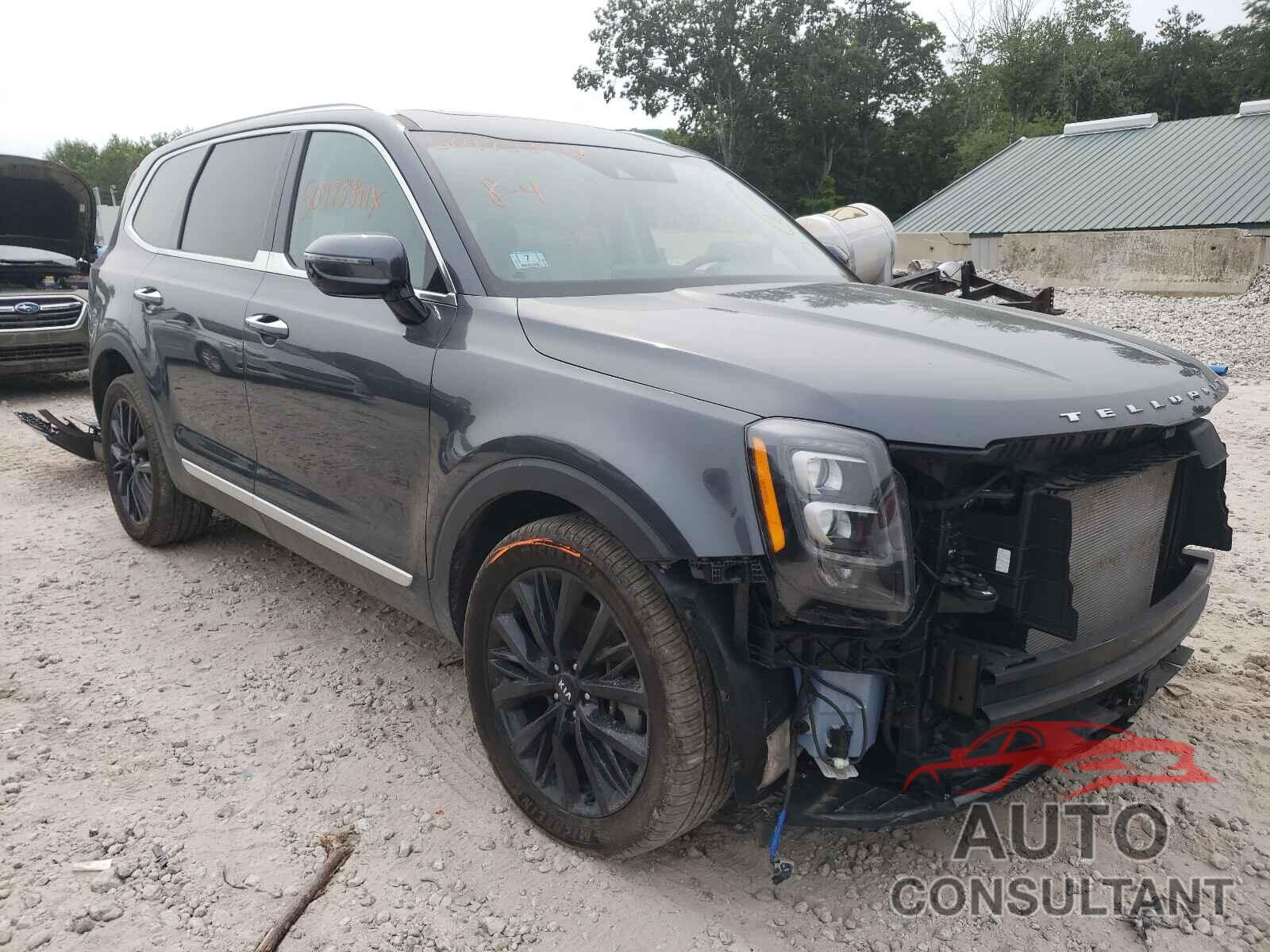 KIA TELLURIDE 2020 - 5XYP5DHC0LG018468