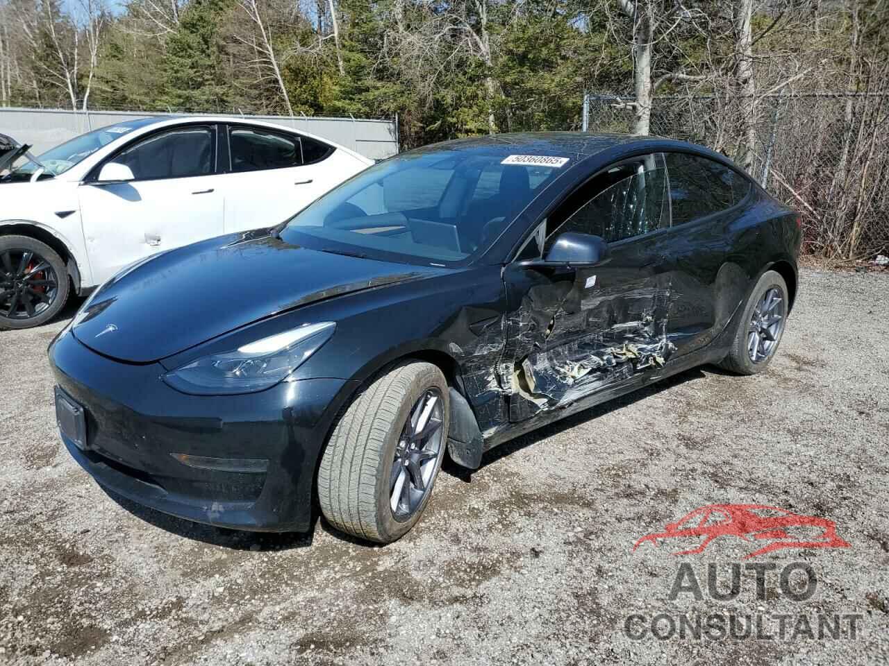 TESLA MODEL 3 2023 - LRW3E1FA5PC920846