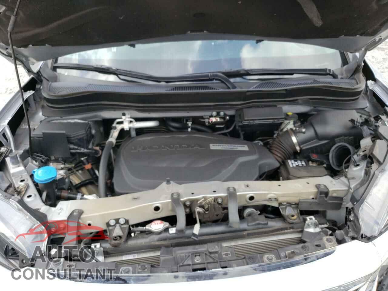 HONDA PILOT 2019 - 5FNYF5H5XKB034708