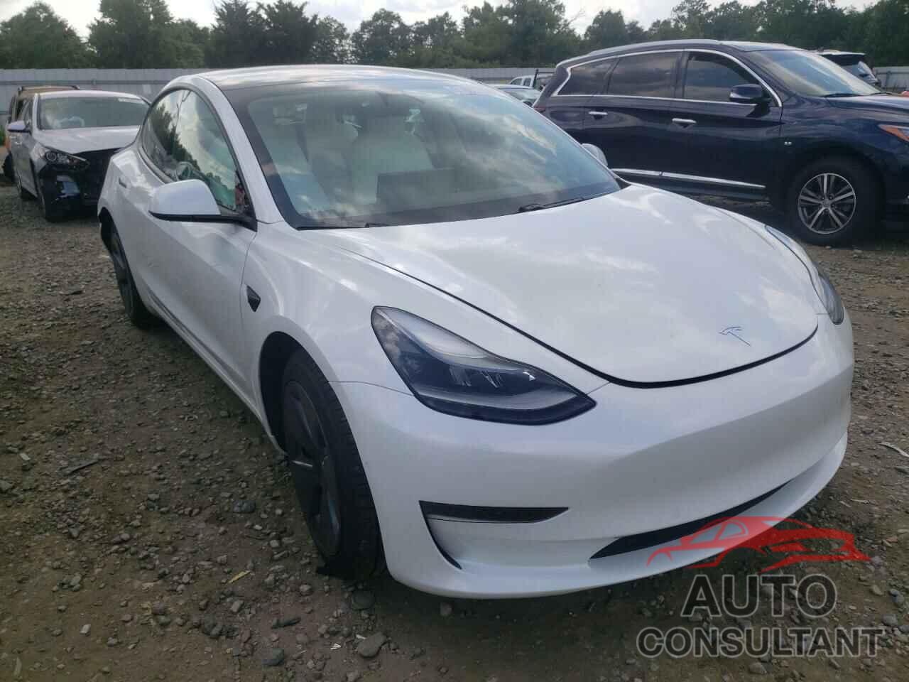 TESLA MODEL 3 2021 - 5YJ3E1EA8MF025371