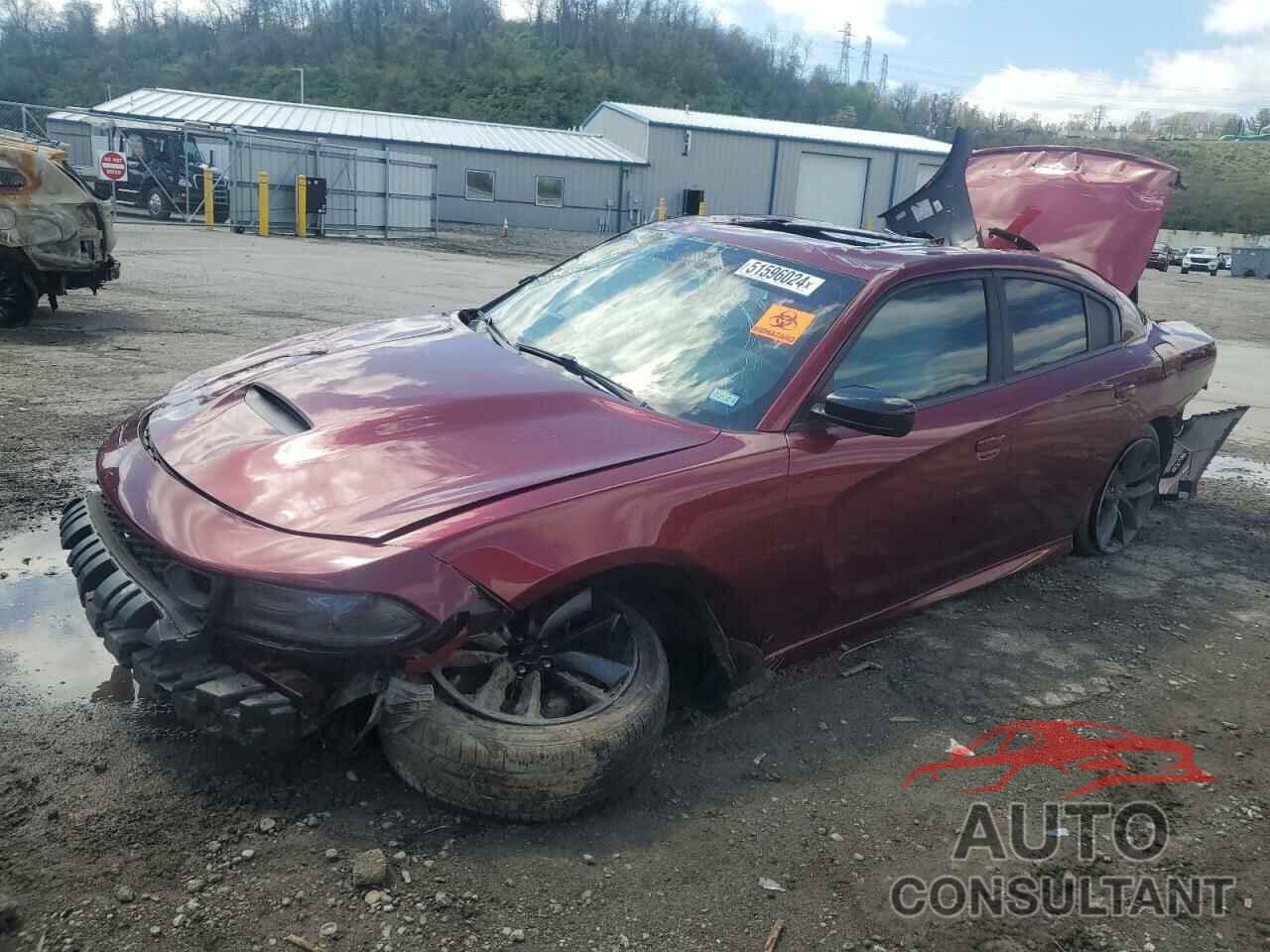 DODGE CHARGER 2019 - 2C3CDXHG9KH607724