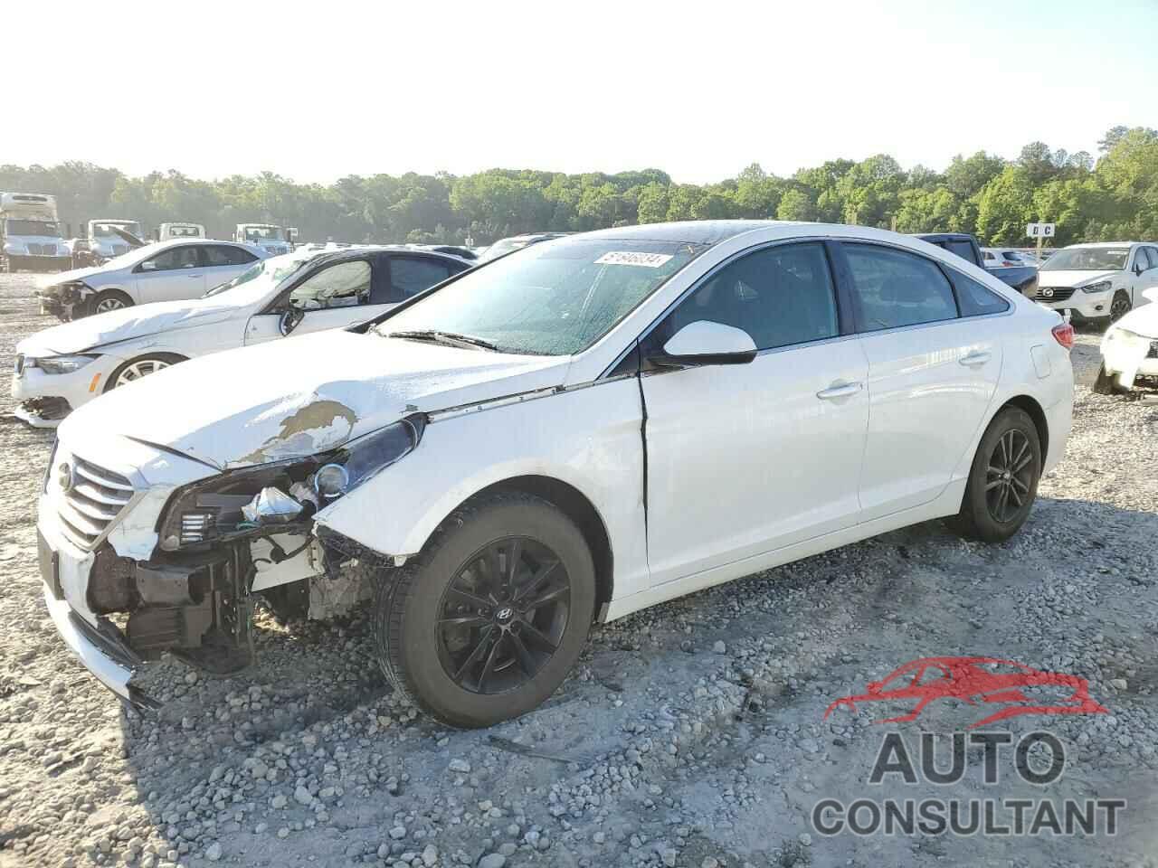 HYUNDAI SONATA 2017 - 5NPE24AF5HH508716